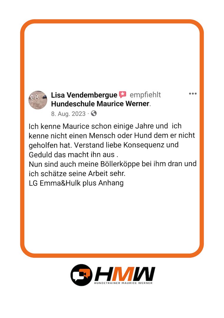 Professionelles Hundetraining – Persönlich oder auch via Video