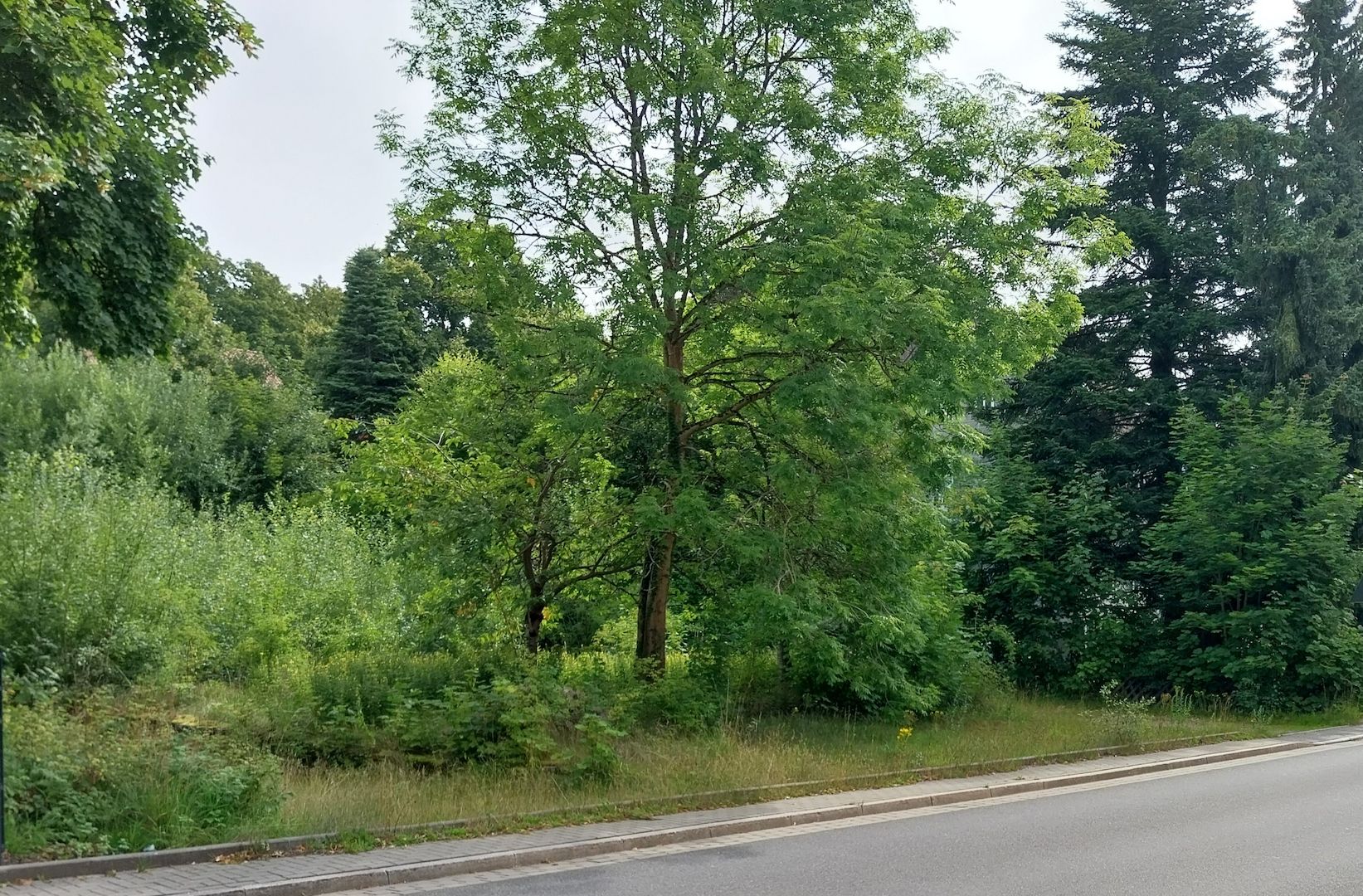 Baugrundstück 1.147 qm in Clausthal-Zellerfeld provisionsfrei Baugrundstück 1.147 qm in Clausthal-Zellerfeld provisionsfrei