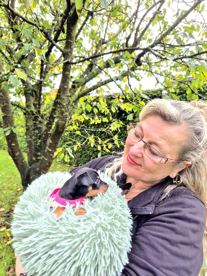 Prager Rattler Welpen männlich und weiblich