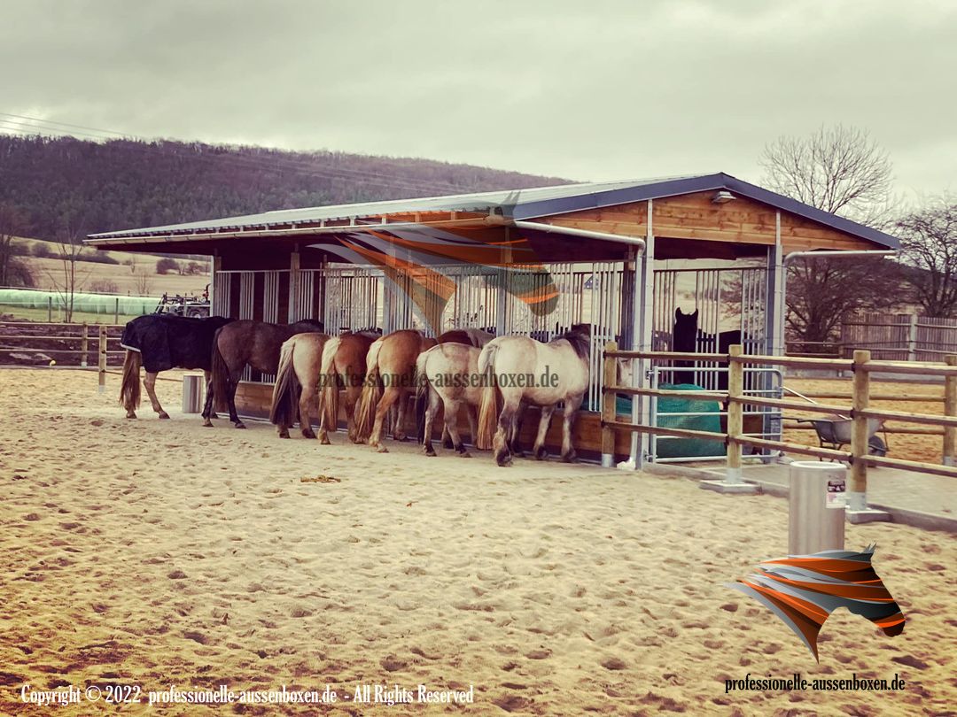 Futterraufe & Heuraufe - Pferderaufe, Fressgitter & Offenstall