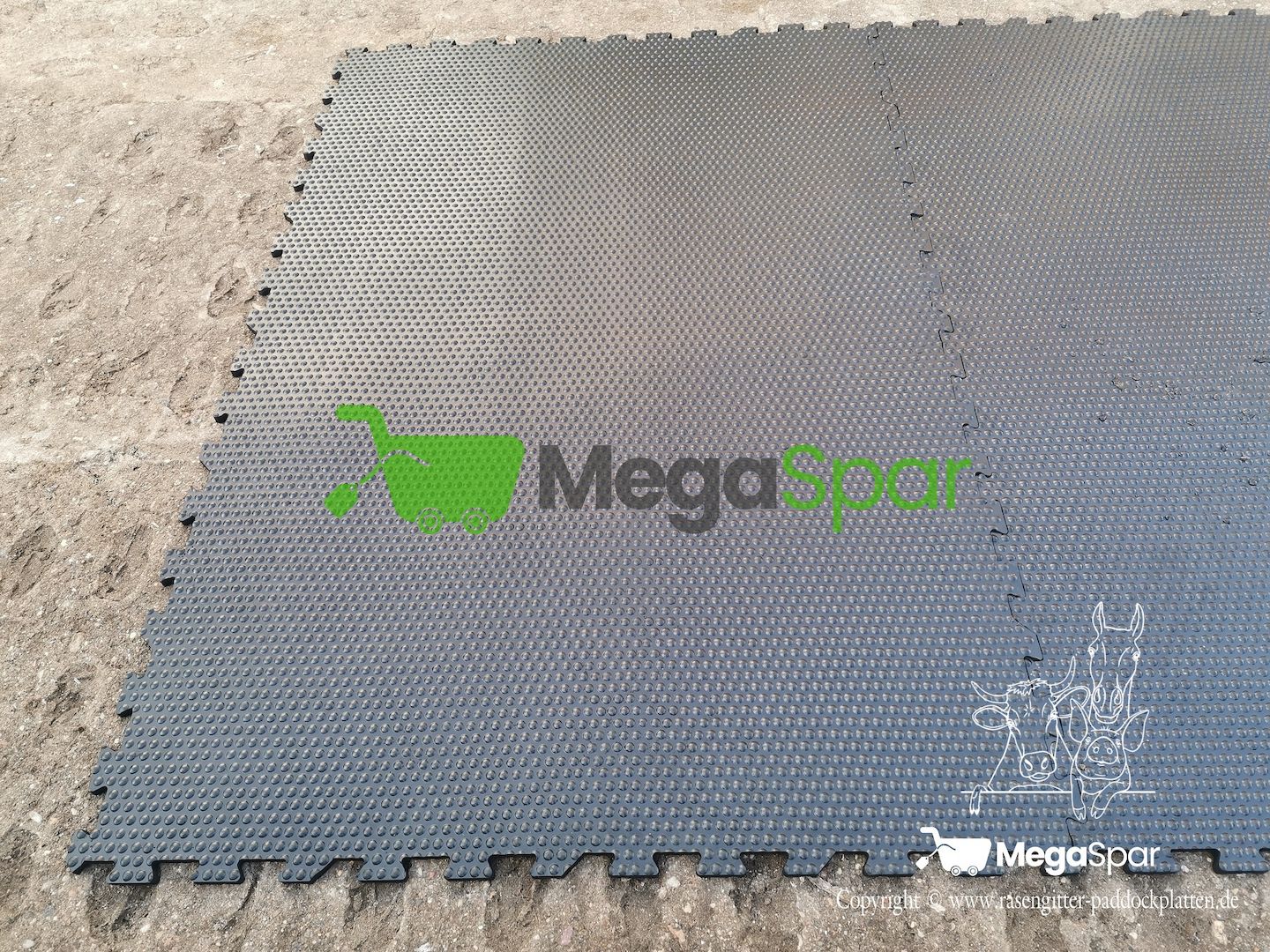 Stallmatten kaufen & Boxenmatten - Gummimatten | Liegematte