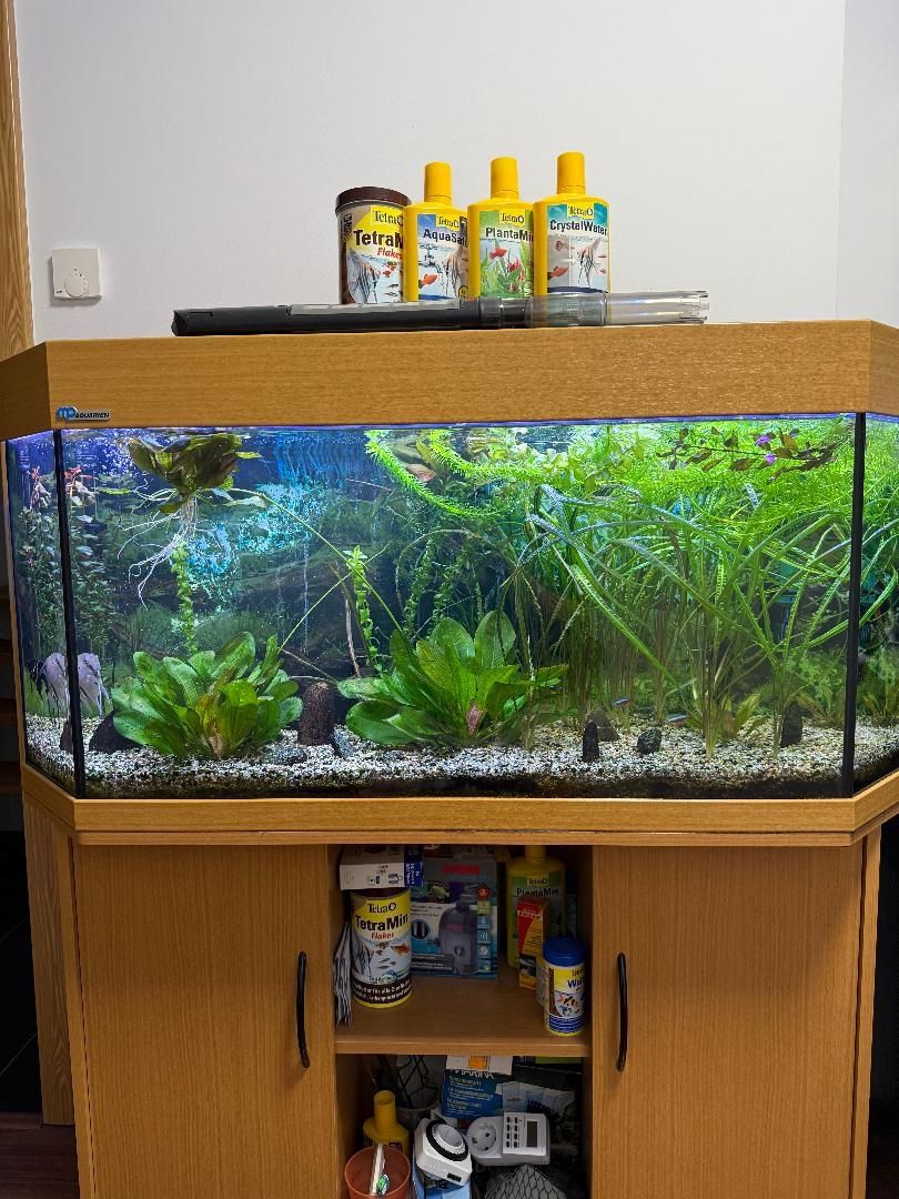 Komplettes Aquarium mit viel Zubehör nur Abholung!