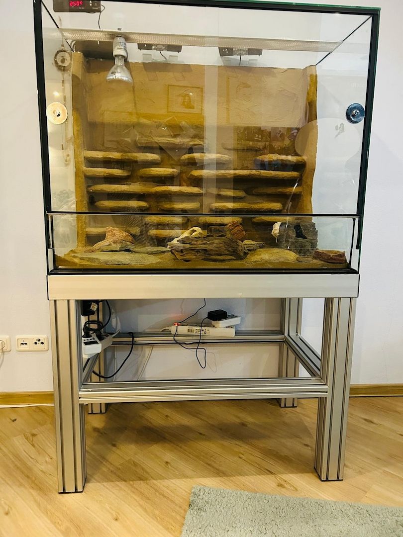 Zwei Leopardengeckos mit/ohne Terrarium