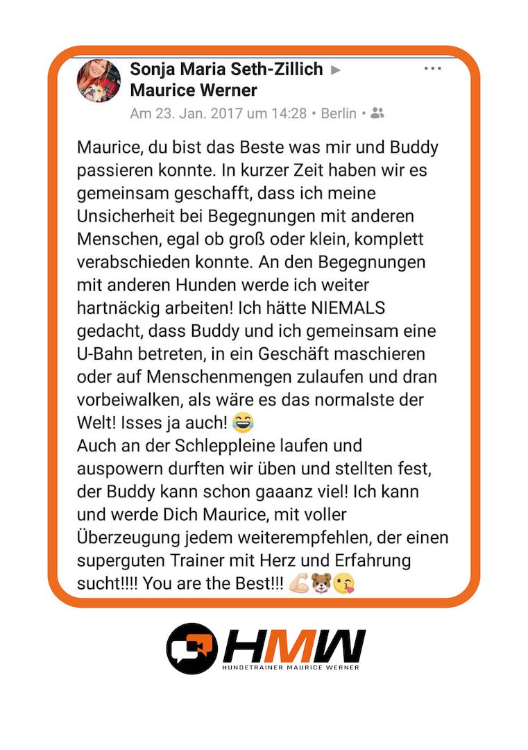 Professionelles Hundetraining – Persönlich oder auch via Video