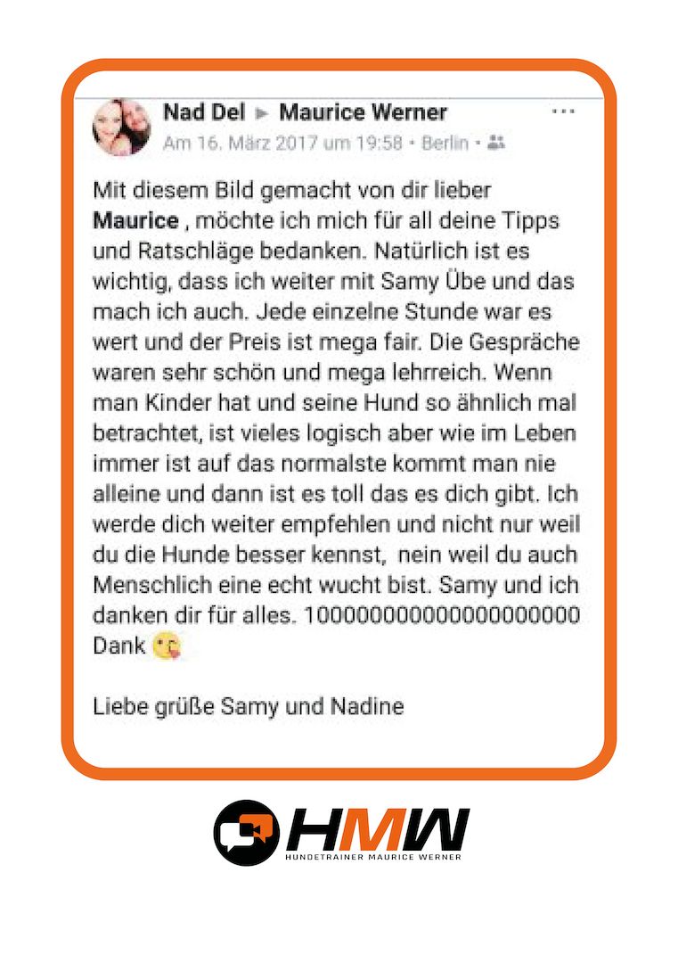 Professionelles Hundetraining – Persönlich oder auch via Video