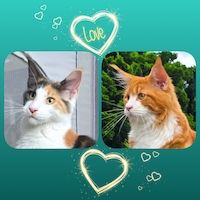 KaPriSönnchen86 Profilbild