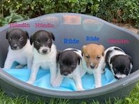 nagrujeisappo-8887 Profilbild