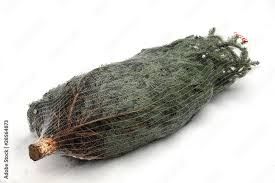 Weihnachtsbaum Lieferung