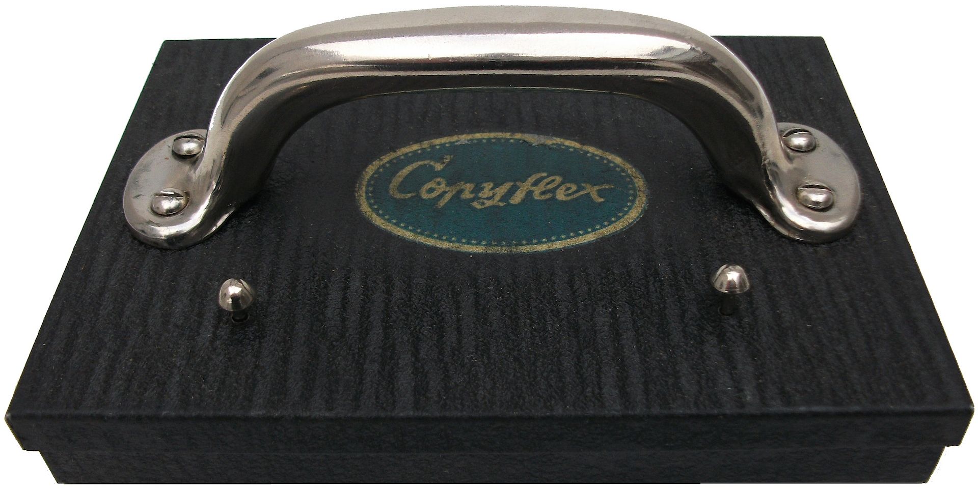 Weisse Rose - Dauer - Ausstellung, weltweit einzigartig und einmalig (Schenkung)