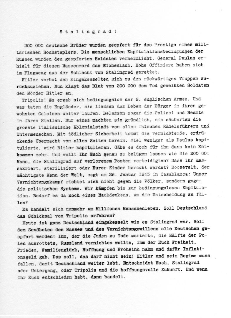 Weisse Rose - Dauer - Ausstellung, weltweit einzigartig und einmalig (Schenkung)