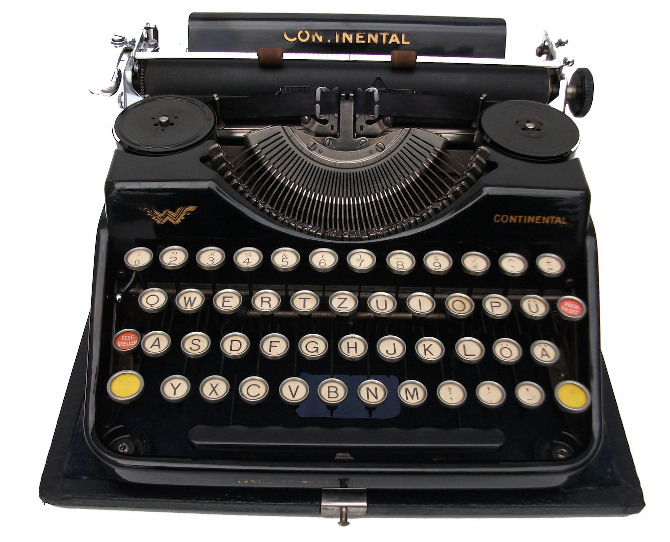 Weisse Rose - Dauer - Ausstellung, weltweit einzigartig und einmalig (Schenkung)