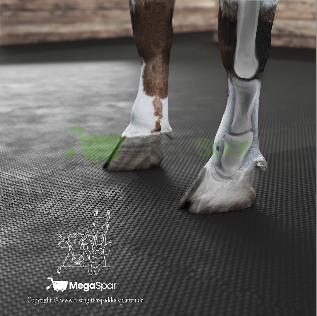 Rutschfeste Stallmatten & Pferdematten | Liegematte für Pferde kaufen
