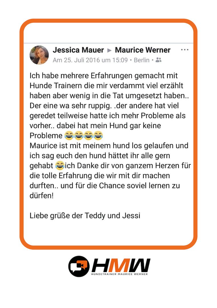 Professionelles Hundetraining – Persönlich oder auch via Video