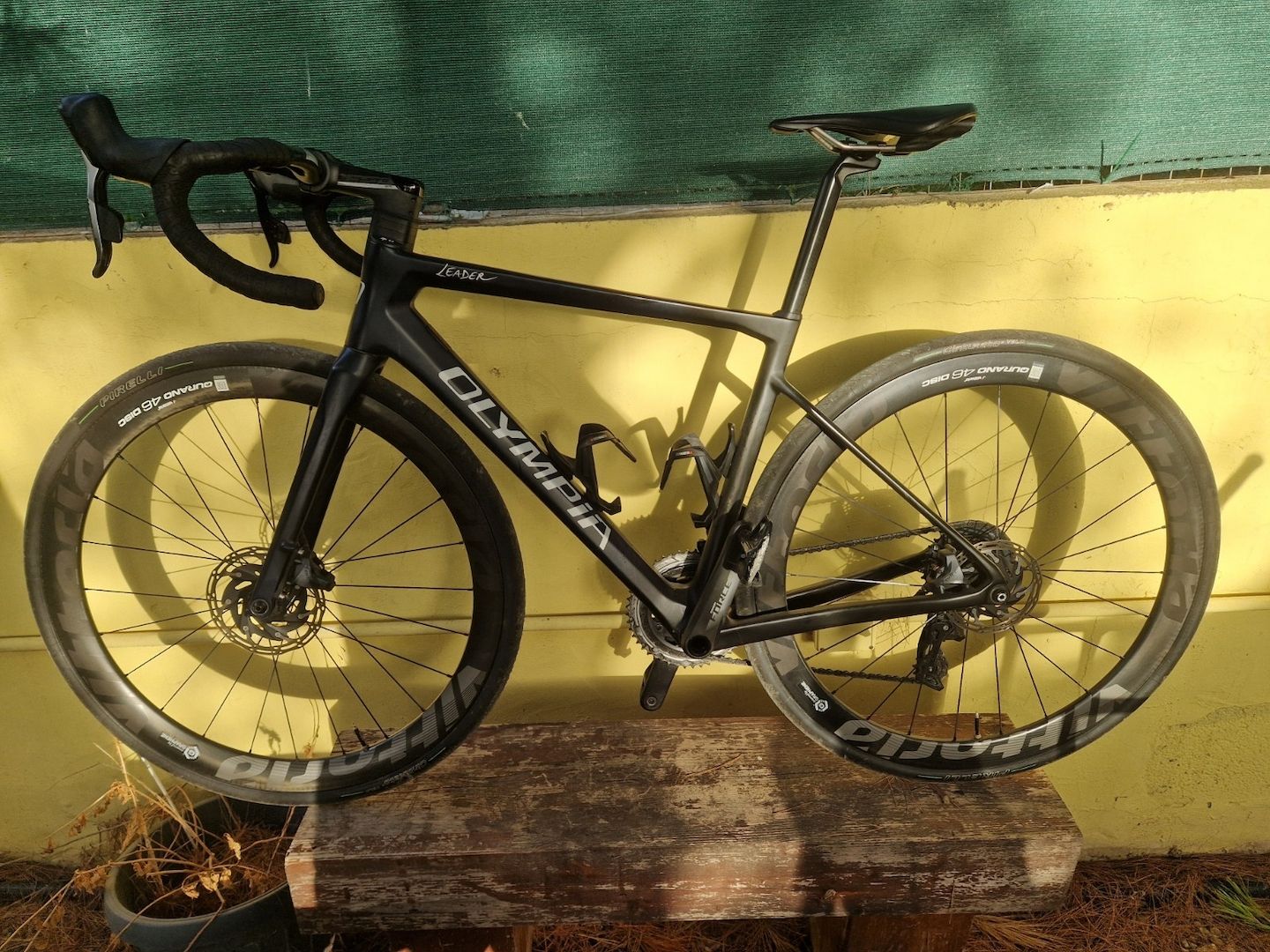 Rennrad Carbon Olympia Leader