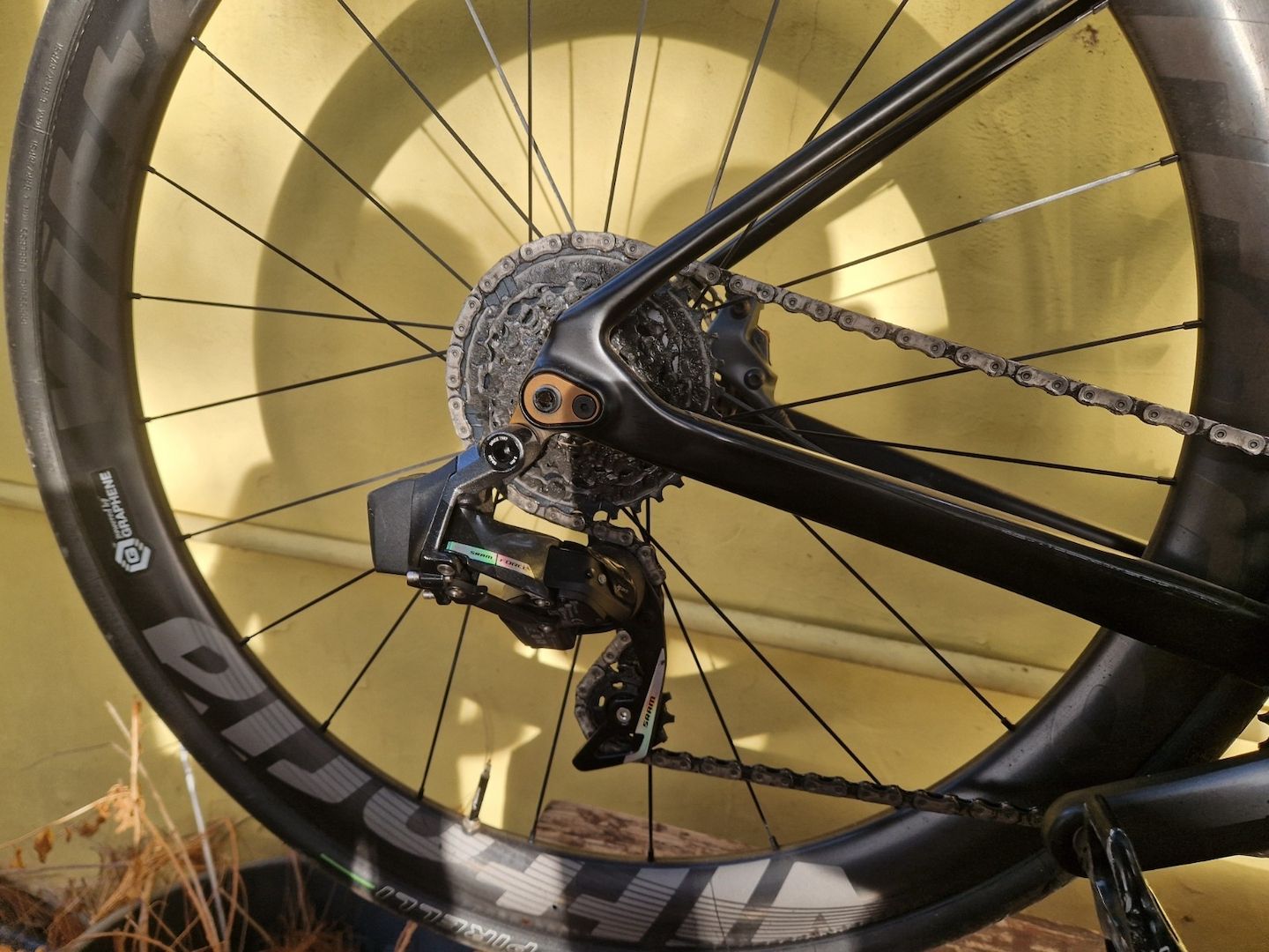 Rennrad Carbon Olympia Leader