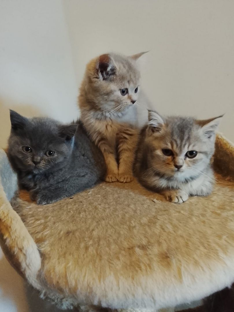 Ansehen ...Verlieben … Mitnehmen ...