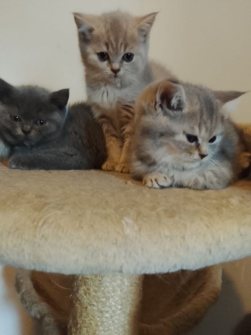 Ansehen ...Verlieben … Mitnehmen ...