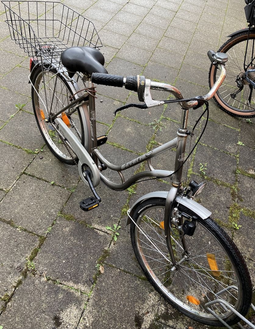 Stadtfahrrad Bavaria Line Lizzard für Damen, Nabenschaltung, Beleuchtung, Korb