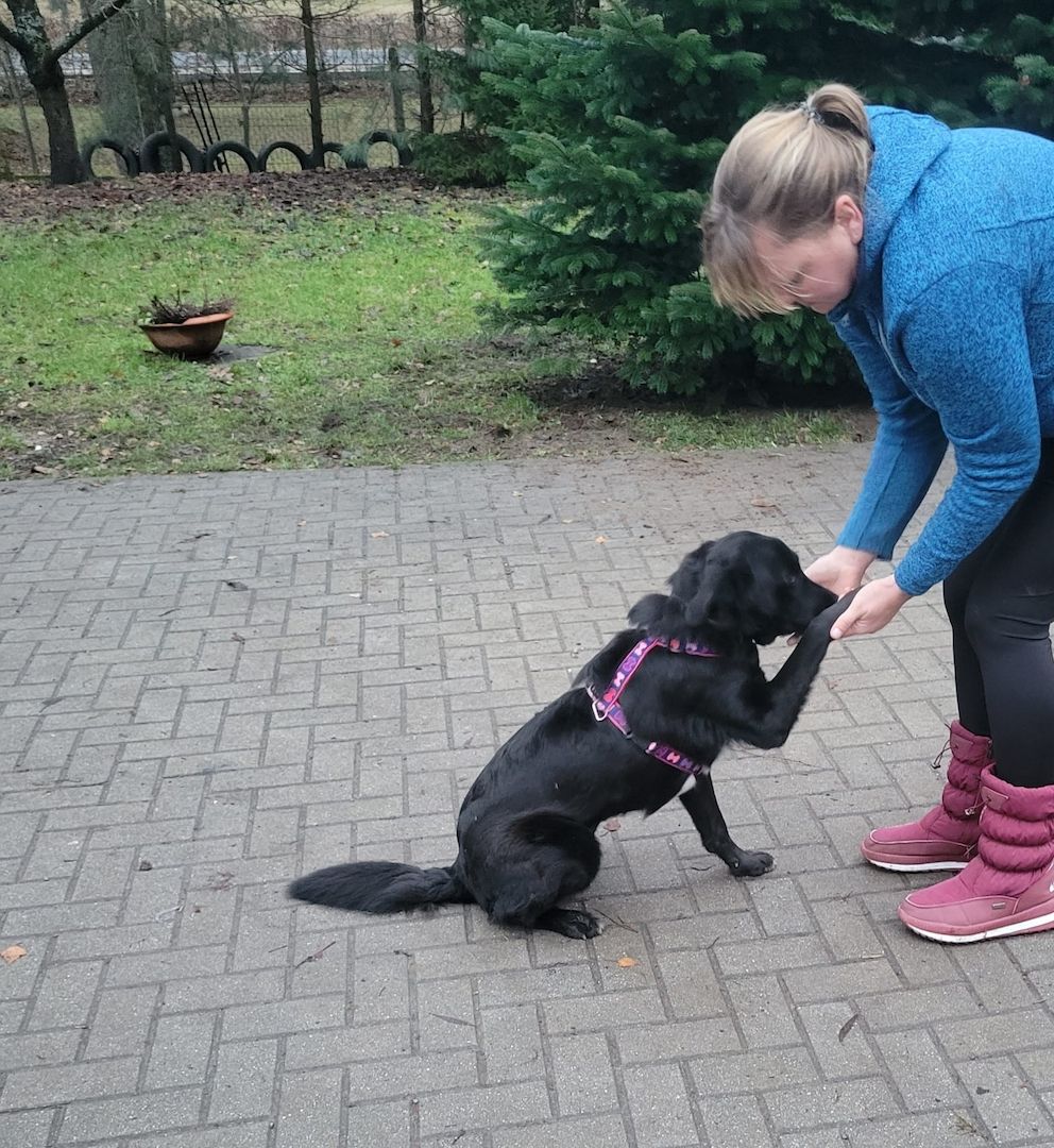 Anna, a.d.Tierschutz, unkompliziert, liebenswert