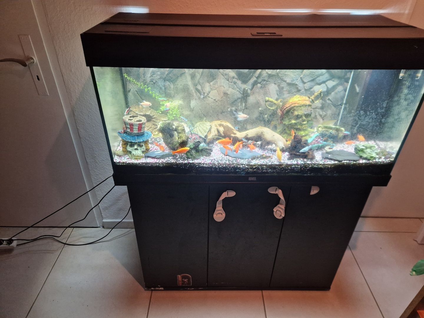 Aquarium rio juwel 180l + Zubehör +Fische