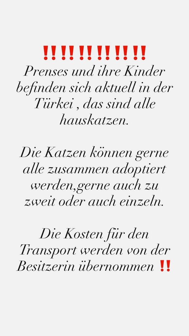 Die Katze wird kostenlos adoptiert.