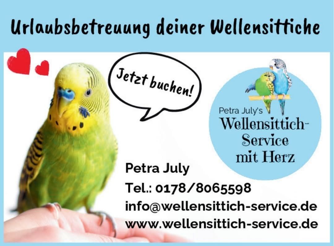 Urlaubsbetreuung deiner Wellensittiche