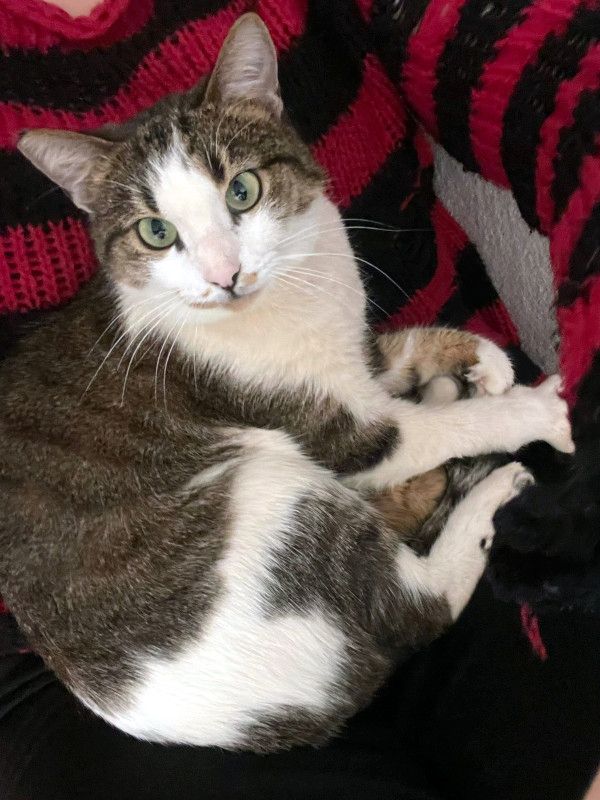 ANDROMACHE - Von der Futterstelle ins Glück?