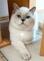 Natali ja Profilbild