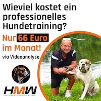 HT Maurice Werner Profilbild