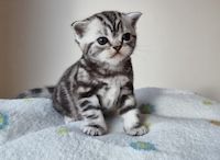 fopreyarebri-4648 Profilbild