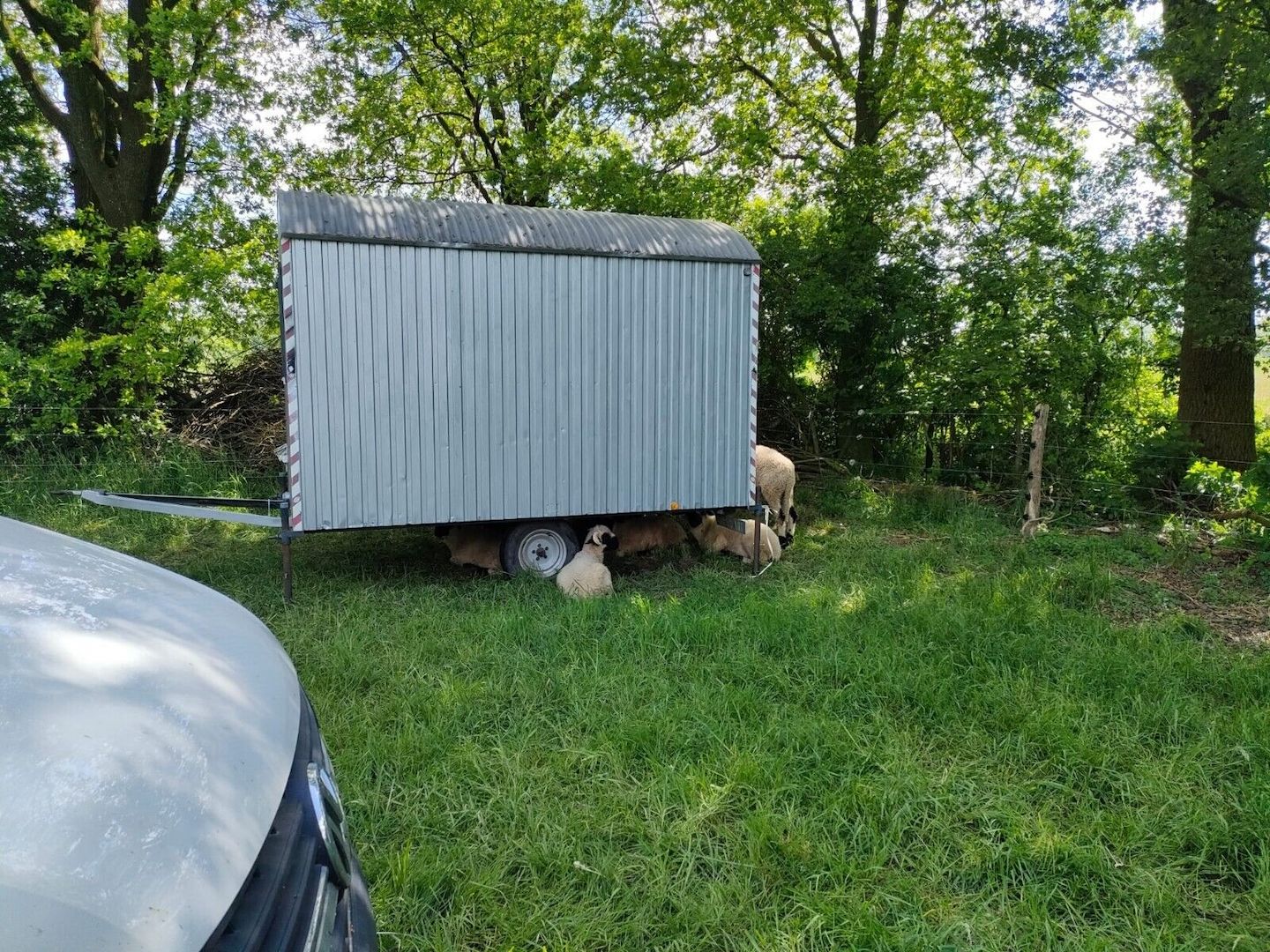 Bauwagen, Tiny Haus 3,60x2,20 m