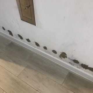 Entwässerung, Kapillarinjektion deutschlandweit