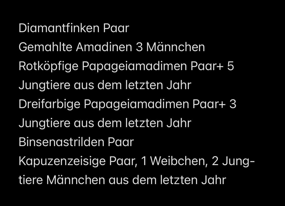 Amadinen Finken Ziervögel Zeisige Lübben