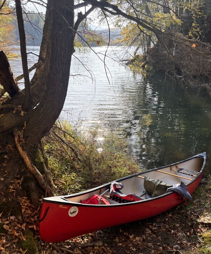 Suche eine spontane junge Frau
