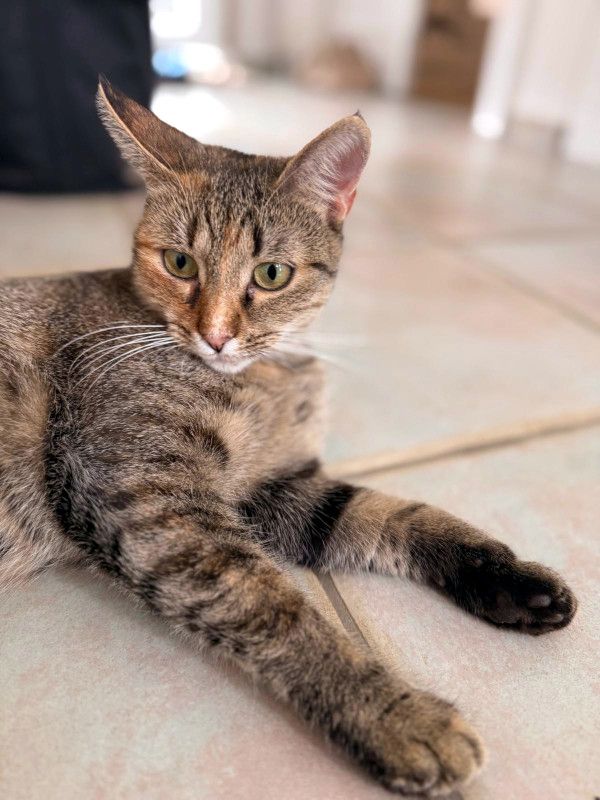 MINA - temperamentvolle Kuschelqueen