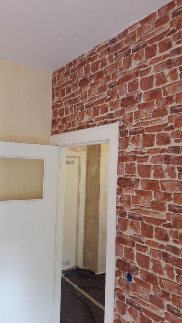 Maler in Berlin sucht was zum Streichen oder neu Tapezieren