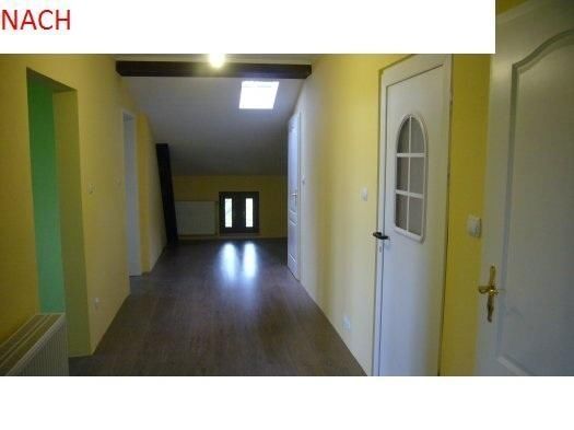 Maler in Berlin sucht was zum Streichen oder neu Tapezieren