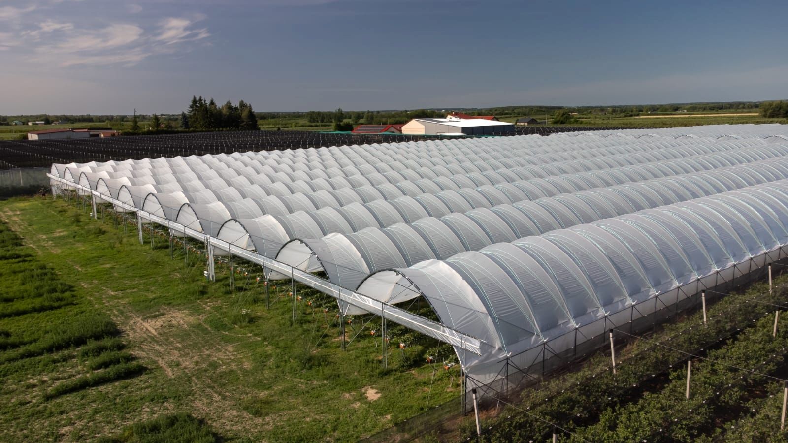Folientunnel, Gewächshaus, Pflanzzelt Folienzeltsystem Folienzelt Bogenhalle Folienhaus Treibhaus