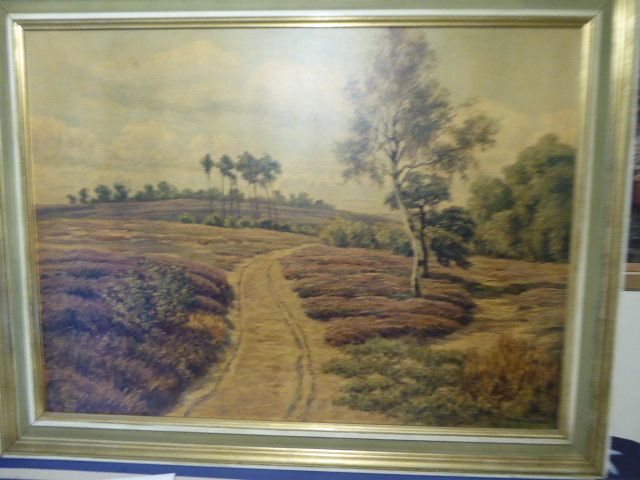 Bild Märkische Heide