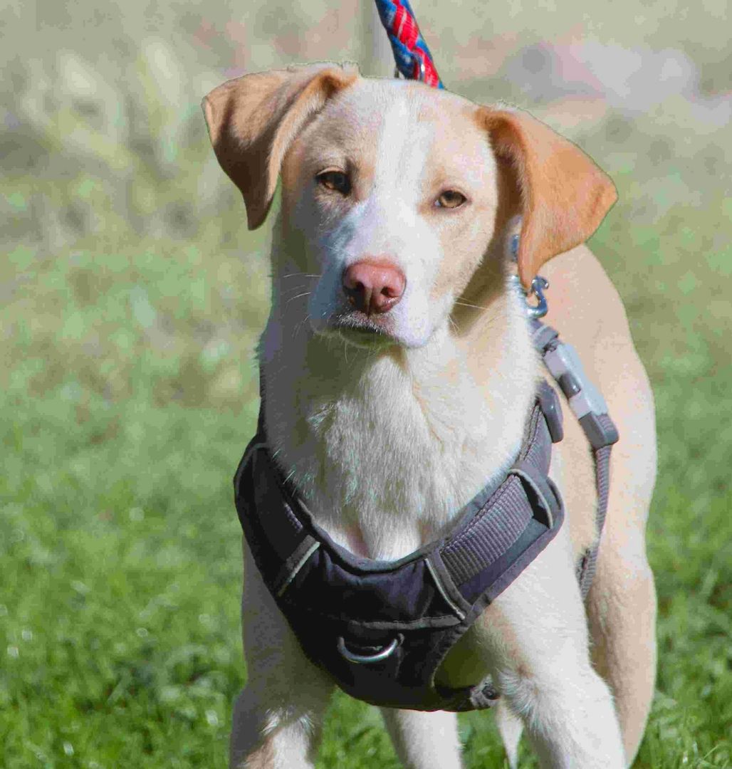 River - lieb und aufgeschlossen