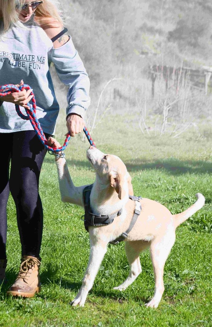 River - lieb und aufgeschlossen