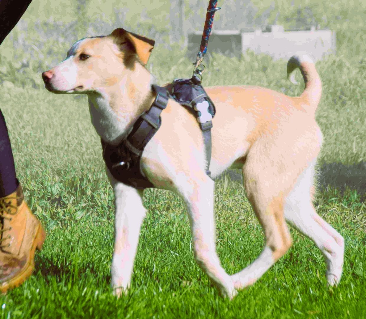 River - lieb und aufgeschlossen