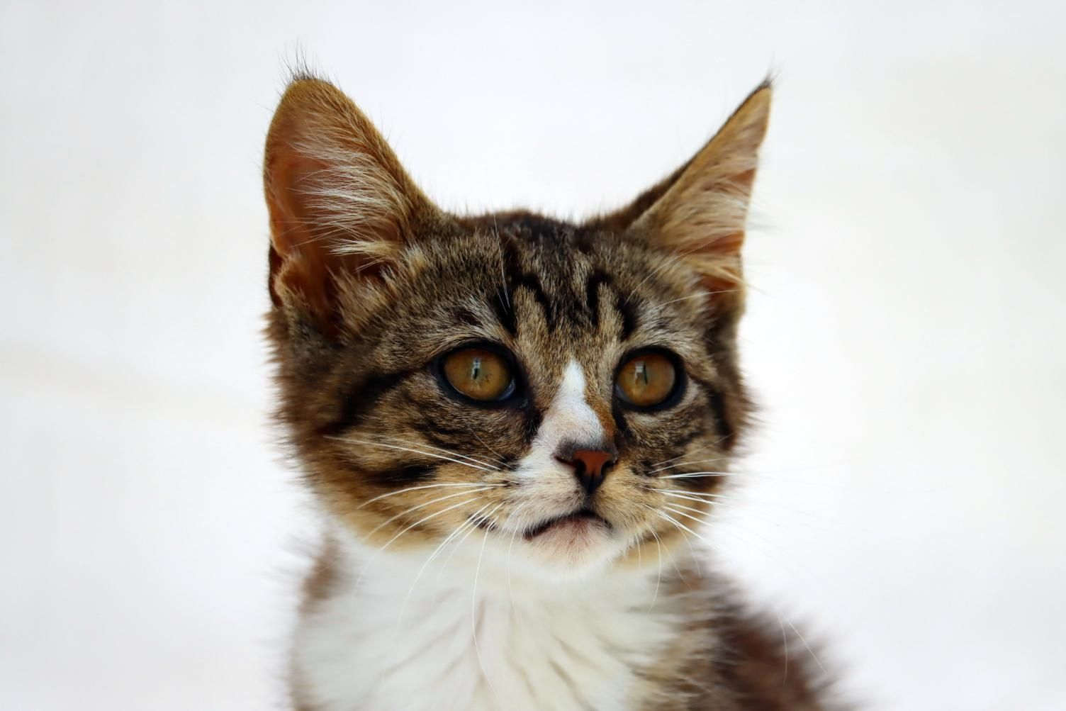 Kim - ein kleines Glückskind