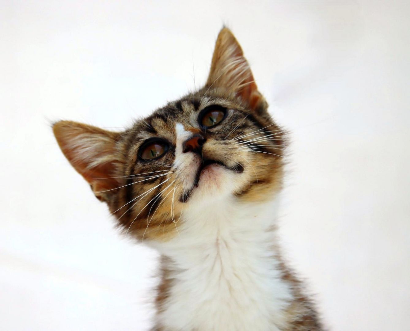 Kim - ein kleines Glückskind