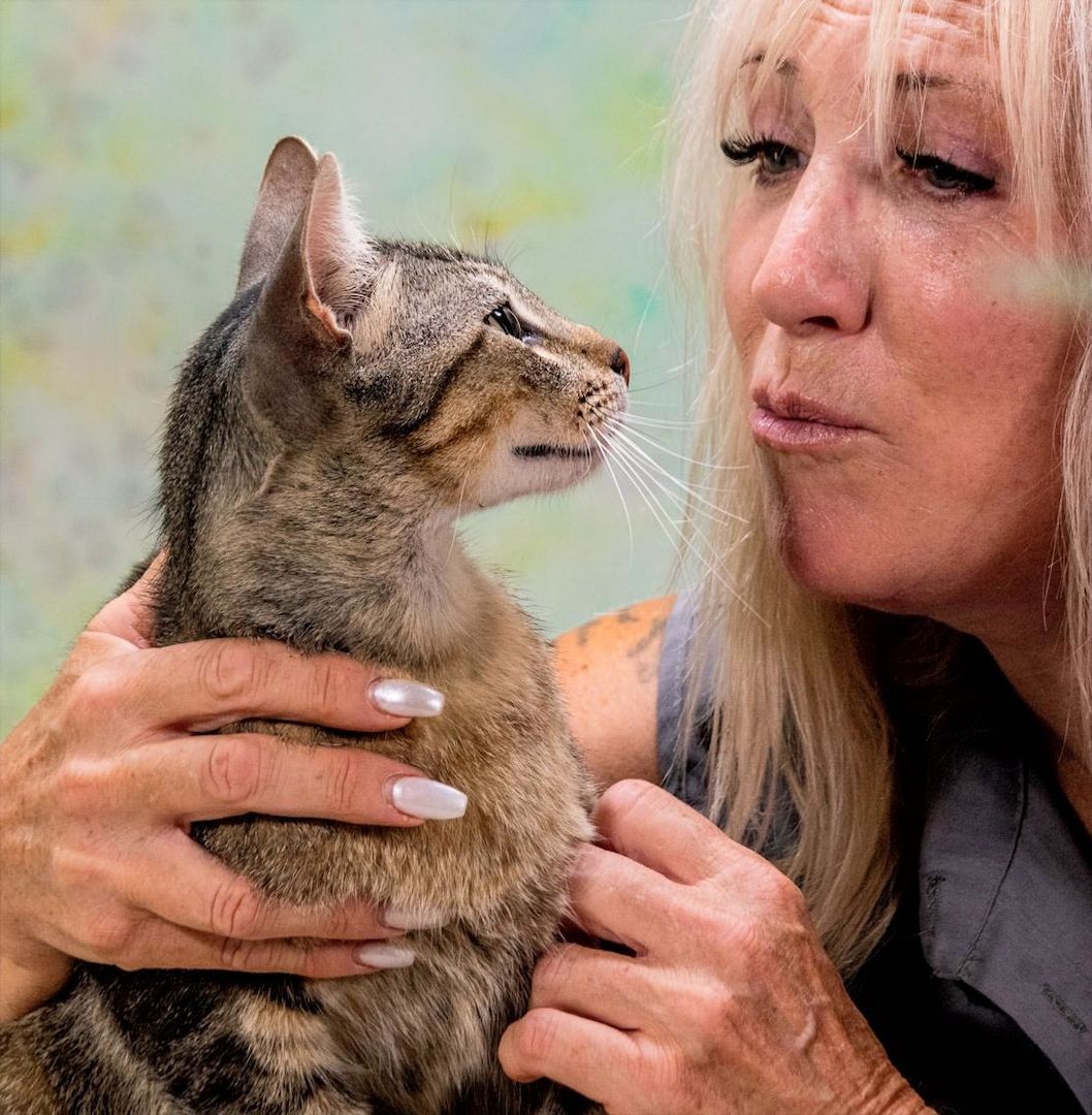 Rocky - ein ganz lieber Tiger