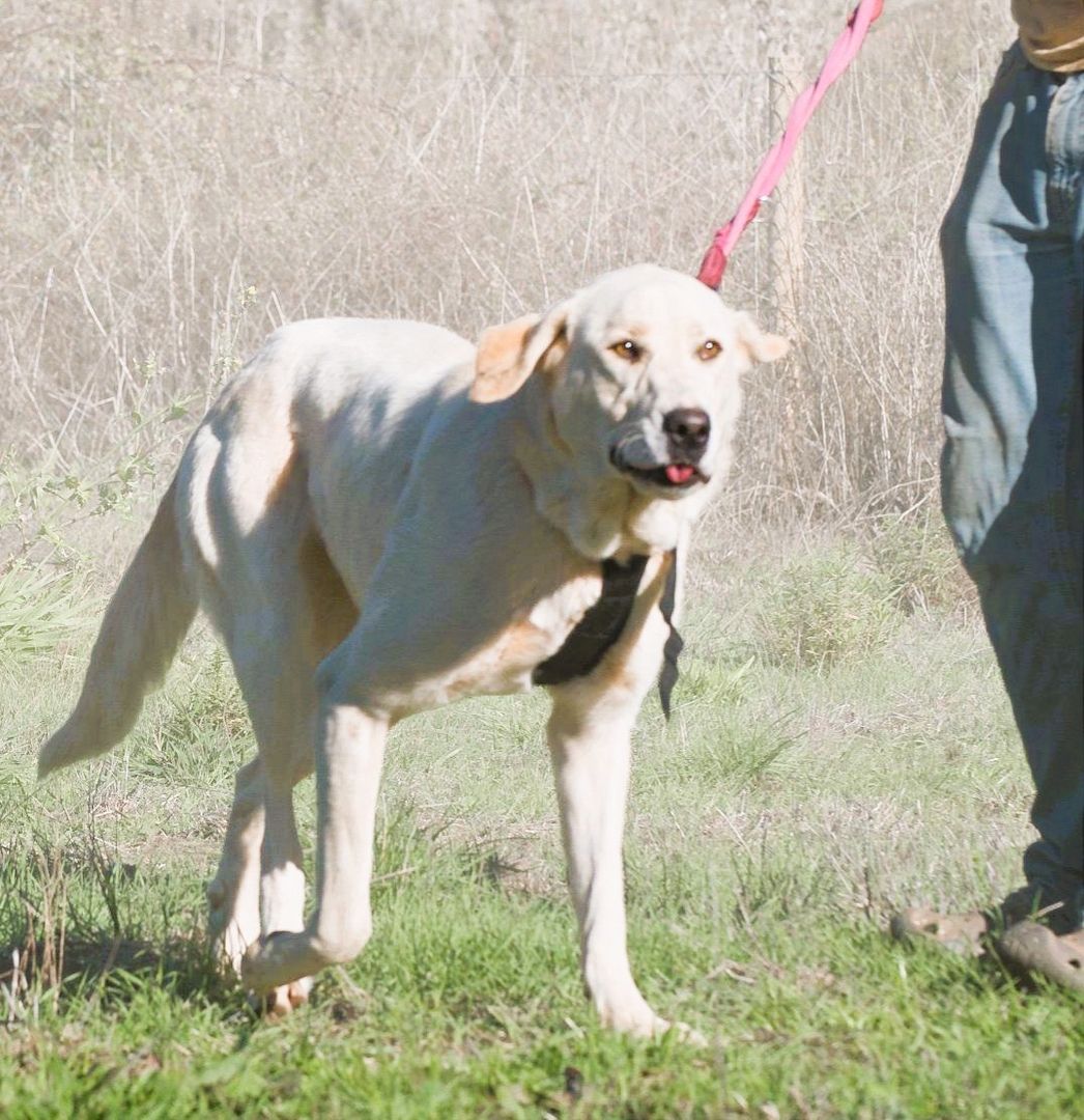 Doya - ein großer Schatz