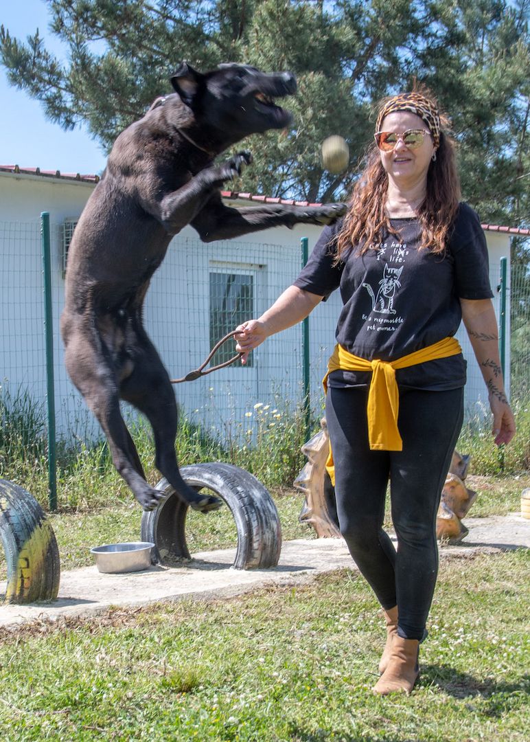 Diego - jung und verspielt