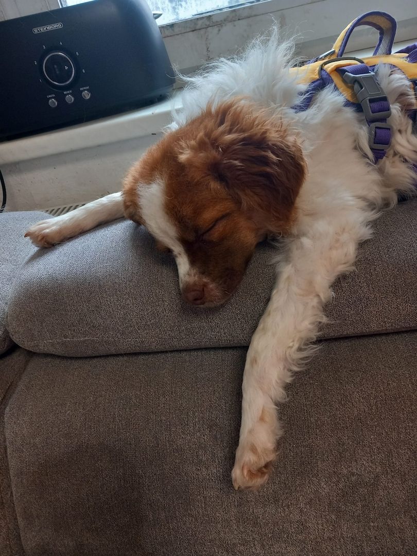 Mimi sucht ihren Herzensmensch