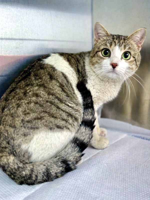 HARRY möchte aus dem Käfig raus