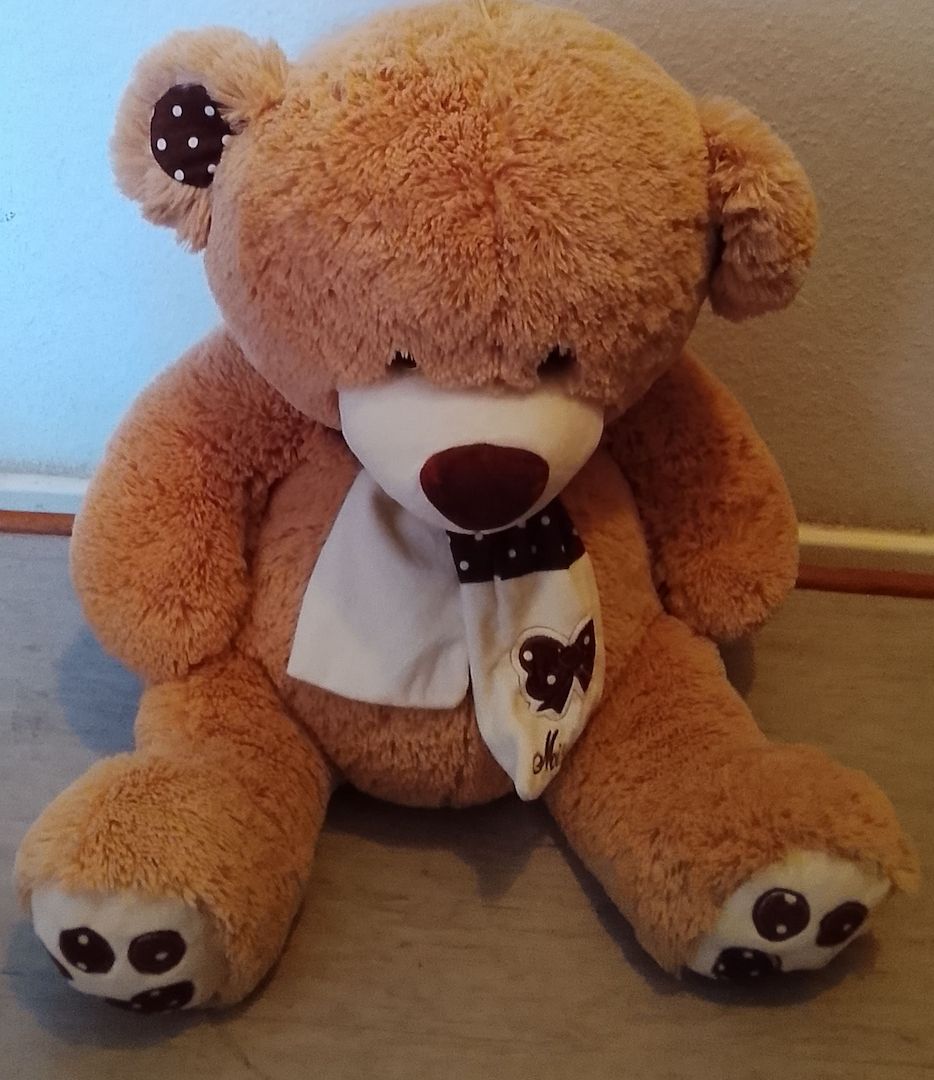 Valentinstag- Kuscheliger Teddybär mit Schal 